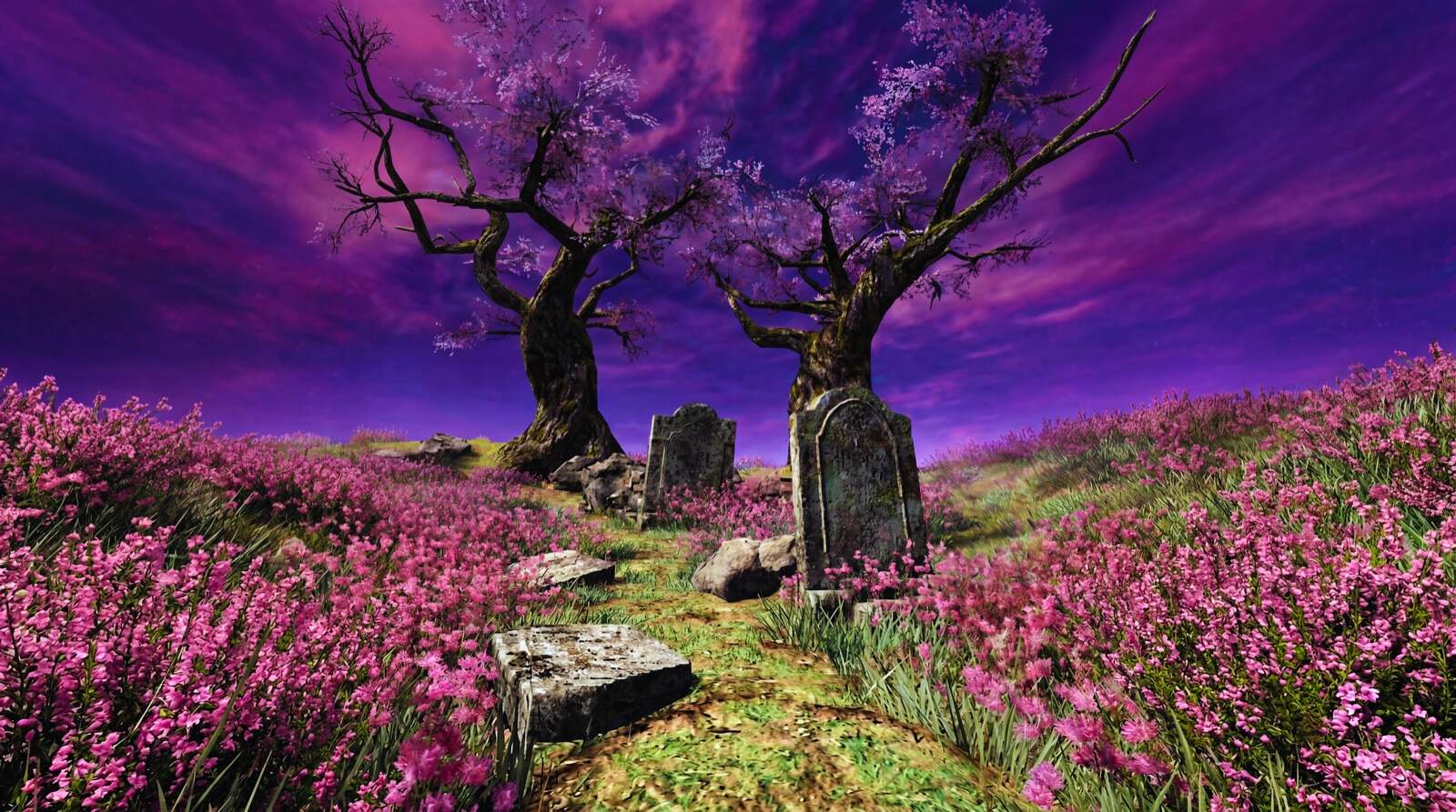 Graveyard in a field of pink flowers